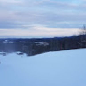 Meet your Posher, Adrian